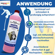 PandaCleaner Nikotin Entferner - Nikotin-Reiniger für Kunststoff 1000ml